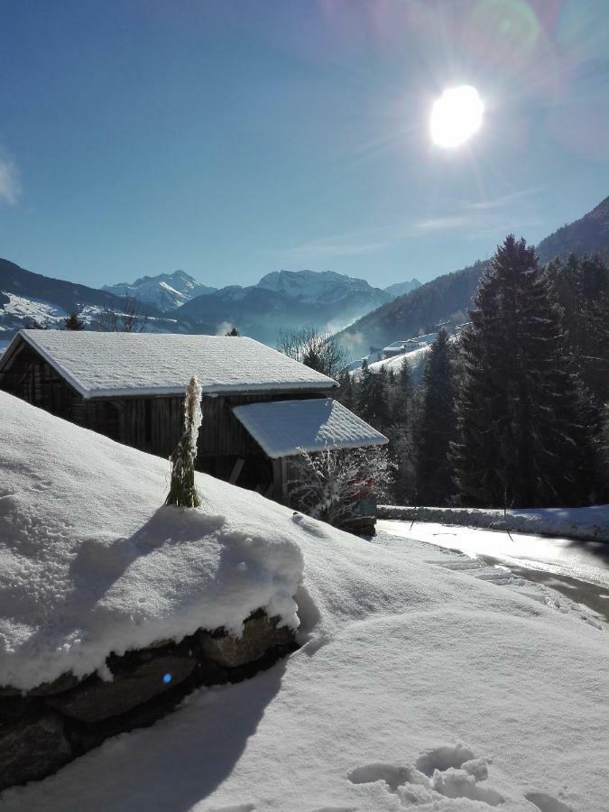 Apart Gerlossteinblick Aschau Im Zillertal المظهر الخارجي الصورة